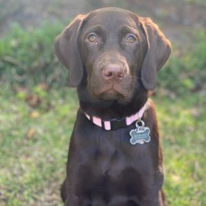 Meet your Posher, Melissa